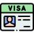 visa (1)